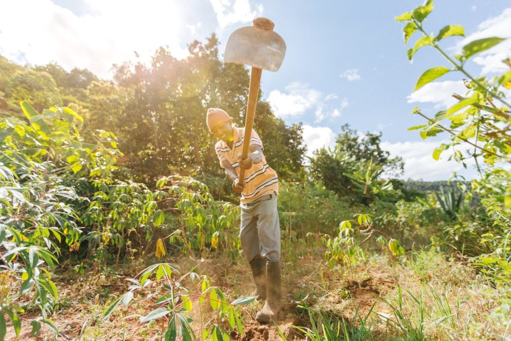 World Resources Institute supported Mtende with funds amounting to $5,000 Lrestoration program